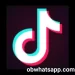 تحميل تيك توك 2025 TikTok الاصدار الاخير مجاناً